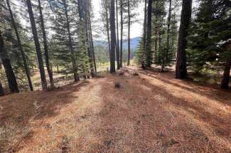 564 Bobcat Trail, Whitehawk Ranch Ca