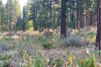573 Bobcat Trial, Whitehawk Ranch Ca