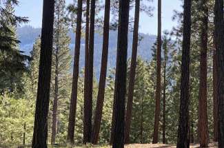 664 Bobcat Trail, Whitehawk Ranch Ca
