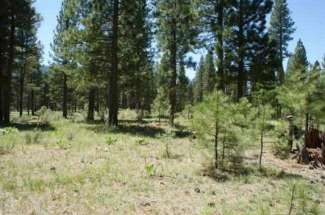 670 Red Tail Loop, Whitehawk Ranch Ca